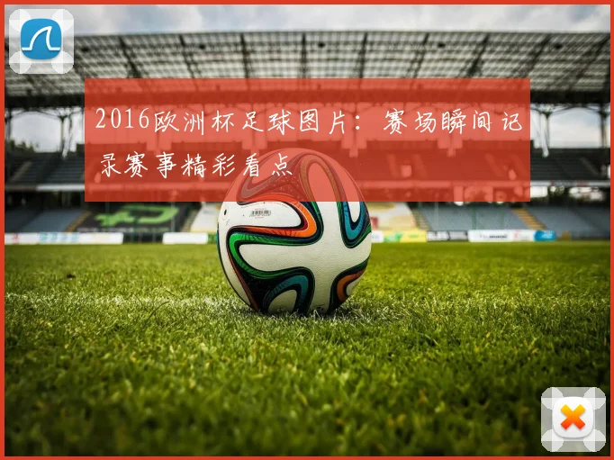 2016欧洲杯足球图片:赛场瞬间记录赛事精彩看点