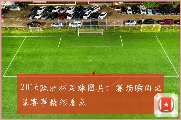 2016欧洲杯足球图片:赛场瞬间记录赛事精彩看点