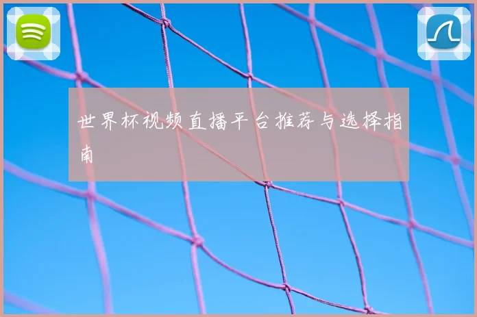 世界杯视频直播平台推荐与选择指南