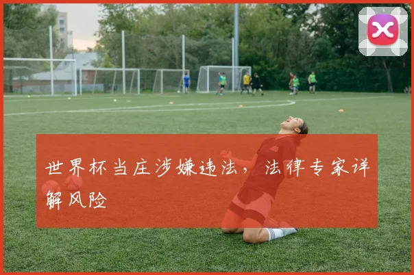 世界杯当庄涉嫌违法,法律专家详解风险