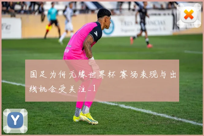 国足为何无缘世界杯 赛场表现与出线机会受关注_1